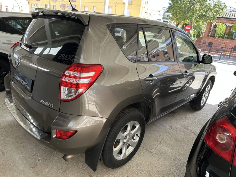 RAV4 III MARRON
