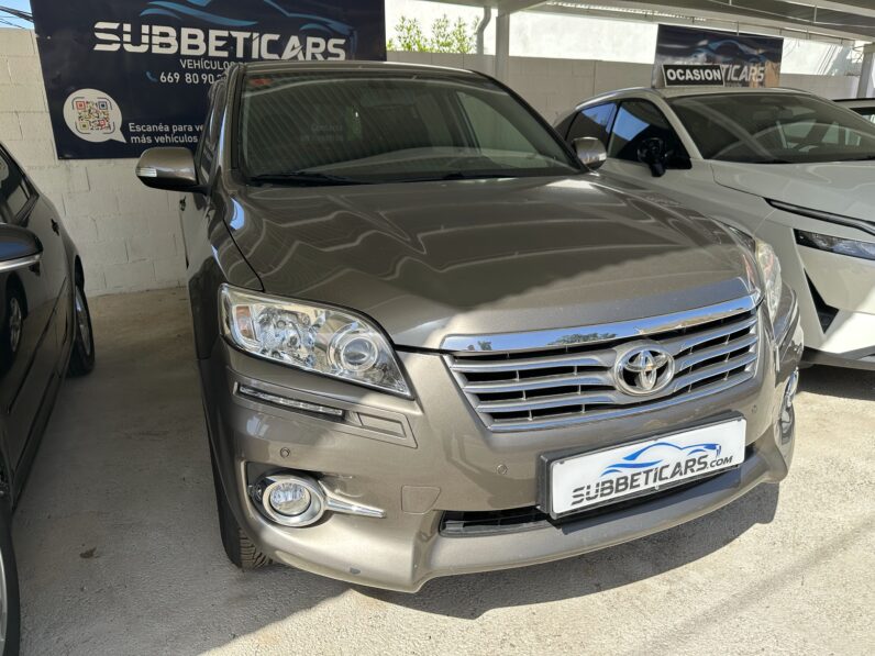 RAV4 III MARRON