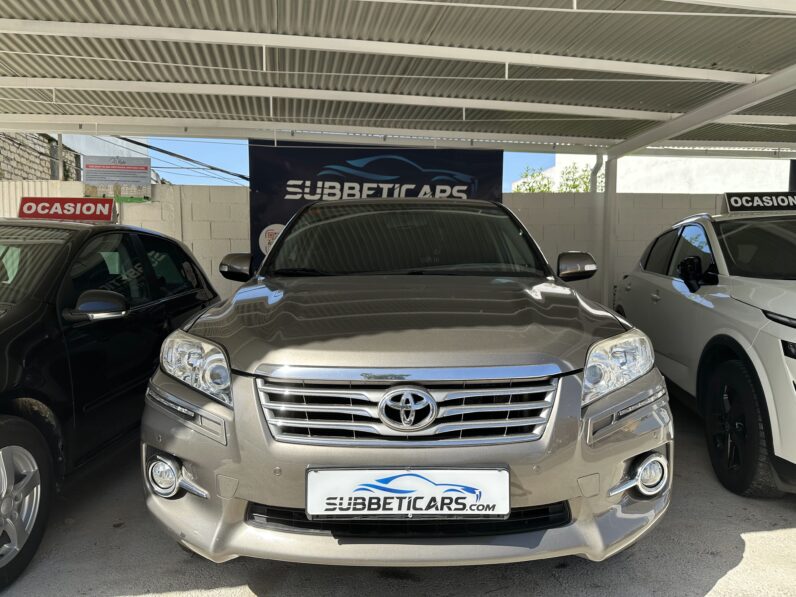 RAV4 III MARRON